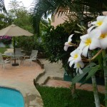 gorgeous gardens at Casamar Suites